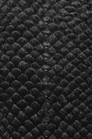 fish leather black
