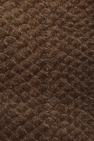 Fish leather bronze metallic