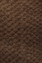 Fish leather bronze metallic