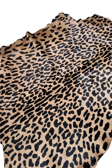 Cavallino met print