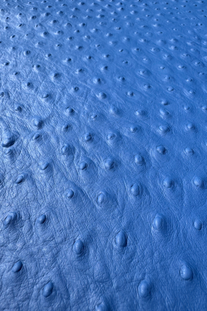 Leder - struisvogelprint