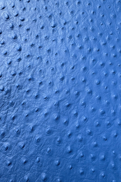 Leder - struisvogelprint